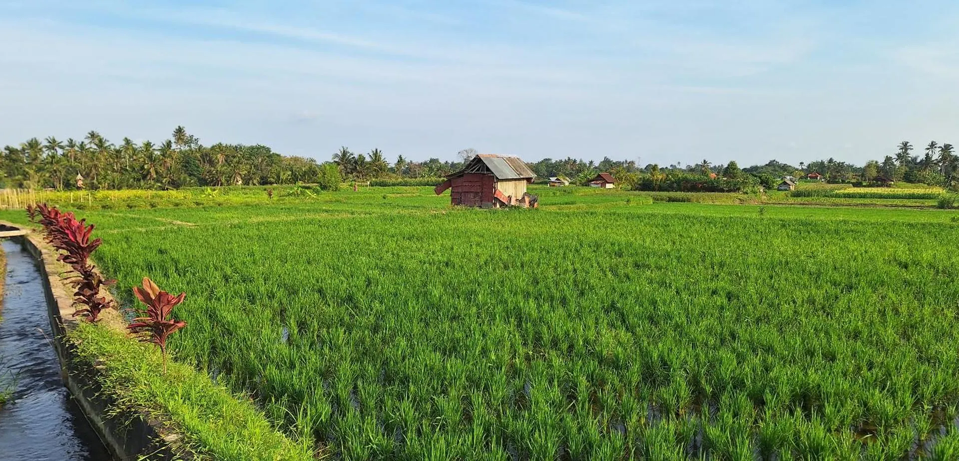 Villa Naga, Pool, Kitchen, Terace And Garden Kerobokan  Indonesia