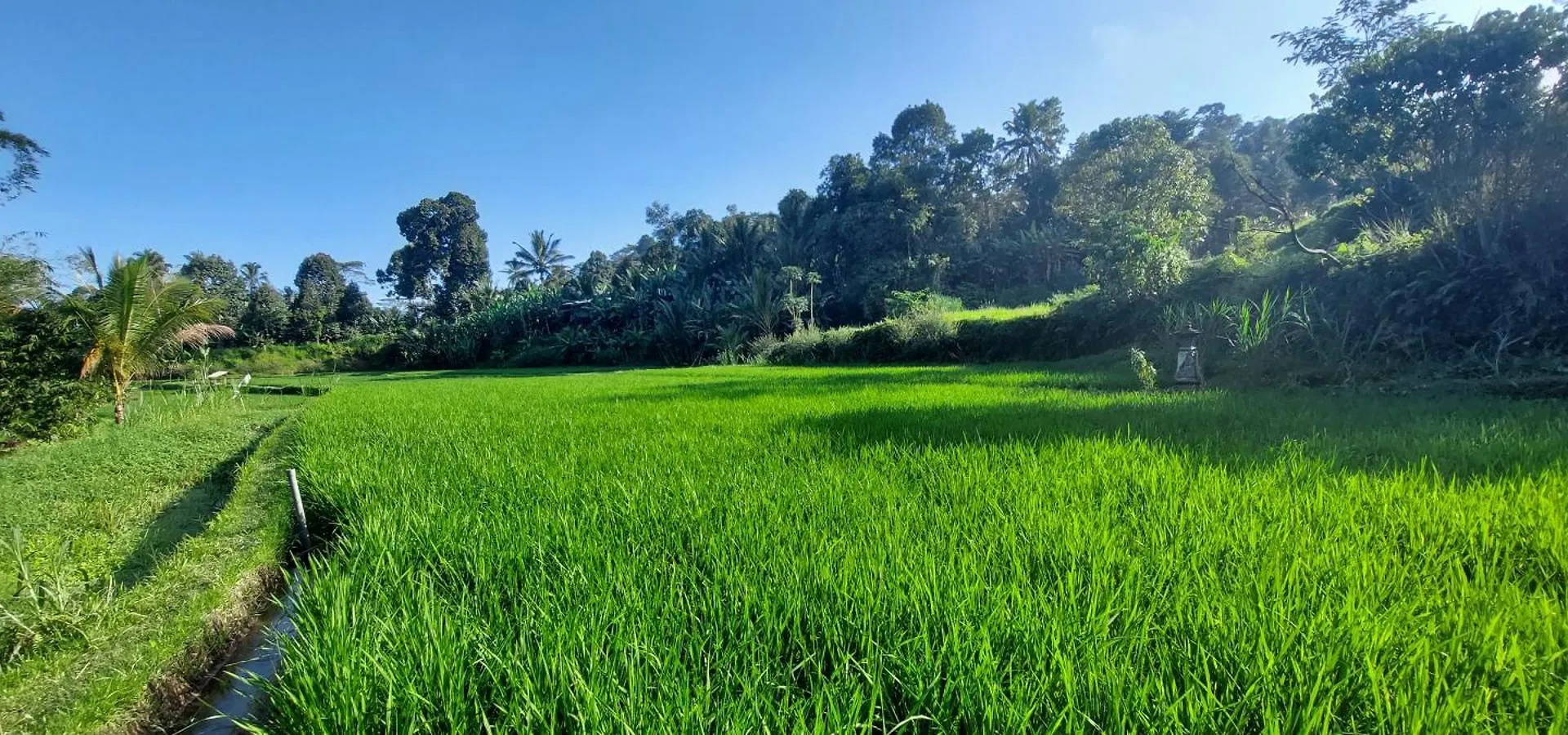 Villa Naga, Pool, Kitchen, Terace And Garden Kerobokan