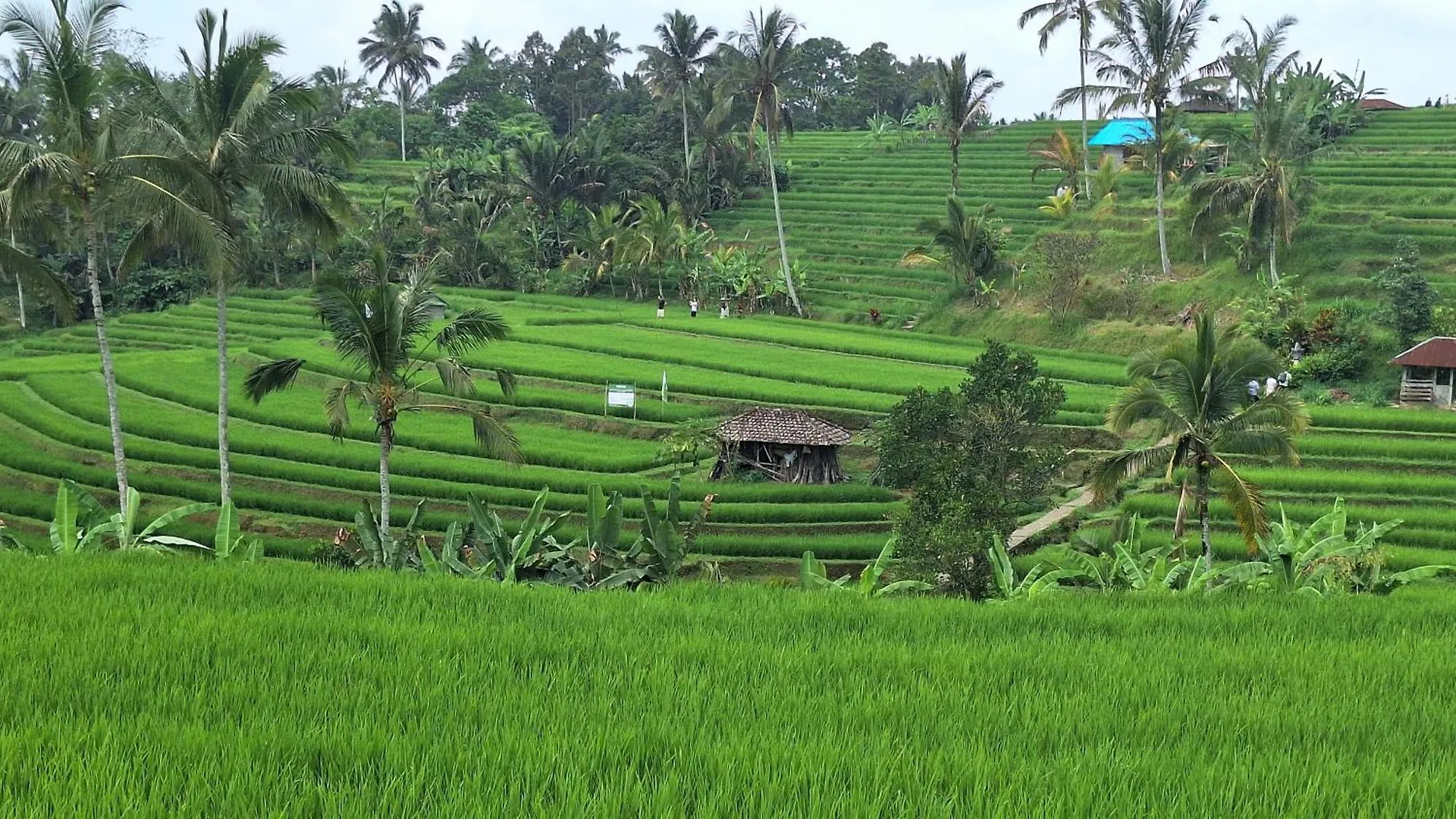 Villa Naga, Pool, Kitchen, Terace And Garden Kerobokan 0*,