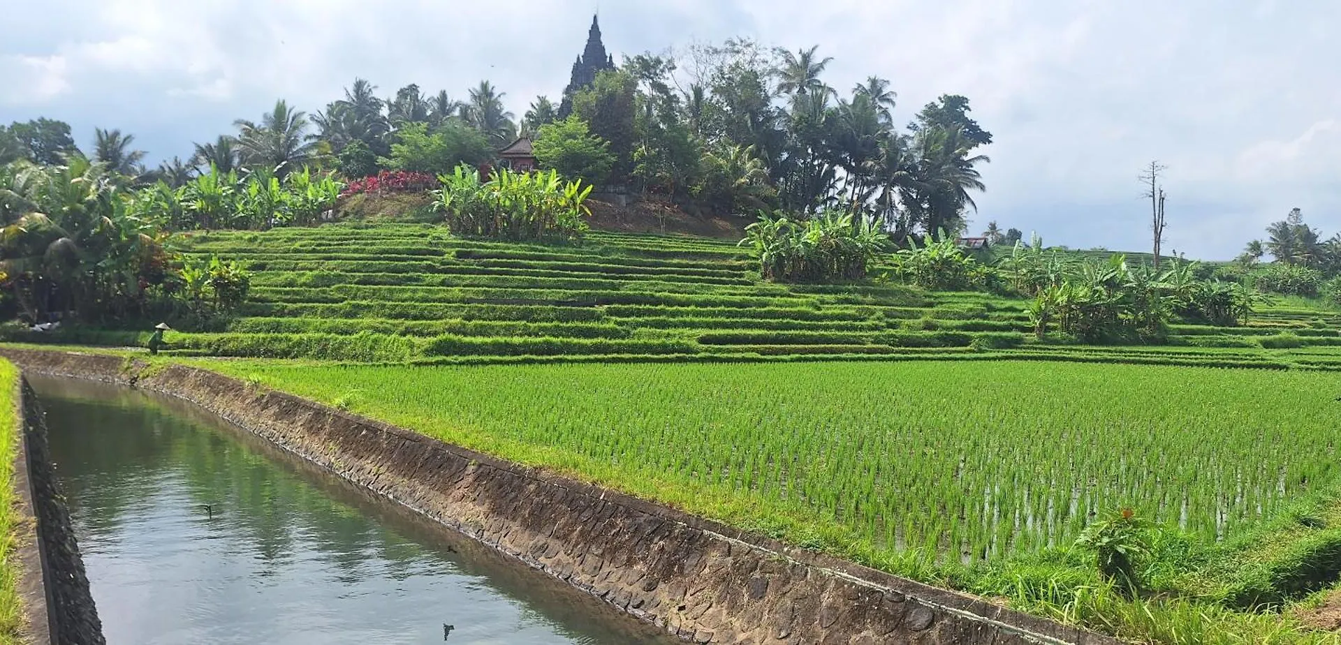 Villa Naga, Pool, Kitchen, Terace And Garden Kerobokan 0*,